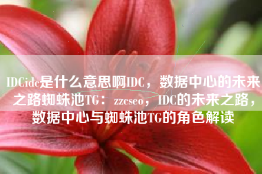 IDCidc是什么意思啊IDC，数据中心的未来之路蜘蛛池TG：zzcseo，IDC的未来之路，数据中心与蜘蛛池TG的角色解读