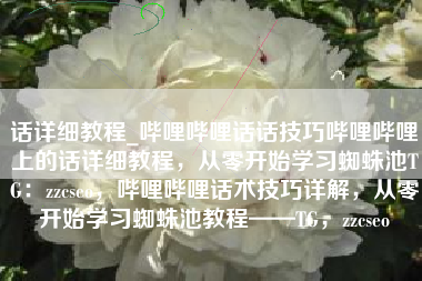 话详细教程_哔哩哔哩话话技巧哔哩哔哩上的话详细教程，从零开始学习蜘蛛池TG：zzcseo，哔哩哔哩话术技巧详解，从零开始学习蜘蛛池教程——TG，zzcseo