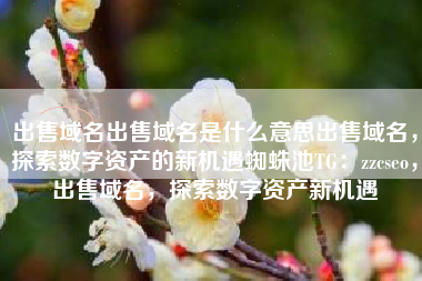 出售域名出售域名是什么意思出售域名，探索数字资产的新机遇蜘蛛池TG：zzcseo，出售域名，探索数字资产新机遇