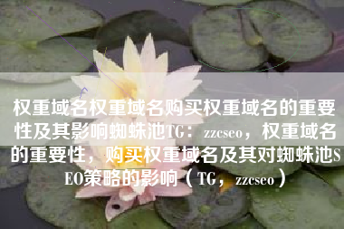 权重域名权重域名购买权重域名的重要性及其影响蜘蛛池TG：zzcseo，权重域名的重要性，购买权重域名及其对蜘蛛池SEO策略的影响（TG，zzcseo）