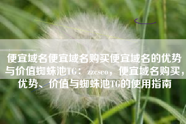 便宜域名便宜域名购买便宜域名的优势与价值蜘蛛池TG：zzcseo，便宜域名购买，优势、价值与蜘蛛池TG的使用指南