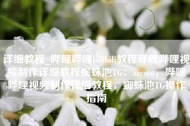 详细教程_哔哩哔哩bilibili教程哔哩哔哩视频制作详细教程蜘蛛池TG：zzcseo，哔哩哔哩视频制作详细教程，蜘蛛池TG操作指南