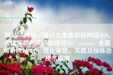 网站seo网站seo是什么全面解析网站SEO，优化策略与实践蜘蛛池TG：zzcseo，全面解析网站SEO，优化策略、实践及蜘蛛池技术指南