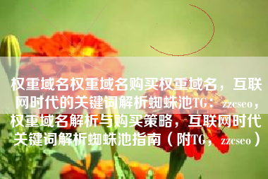 权重域名权重域名购买权重域名，互联网时代的关键词解析蜘蛛池TG：zzcseo，权重域名解析与购买策略，互联网时代关键词解析蜘蛛池指南（附TG，zzcseo）