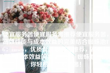 便宜服务器便宜服务器推荐便宜服务器，高效性能与成本效益的完美结合蜘蛛池TG：zzcseo，优质低价服务器推荐，高效性能与成本效益的完美结合，蜘蛛池TG助你轻松选购服务器！