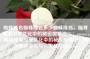 蜘蛛排名蜘蛛排名多少蜘蛛排名，探寻搜索引擎优化中的秘密蜘蛛池TG：zzcseo，揭秘搜索引擎优化中的秘密蜘蛛池，探寻蜘蛛排名与TG实战指南zzcseo
