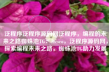 泛程序泛程序源码网泛程序，编程的未来之路蜘蛛池TG：zzcseo，泛程序源码网，探索编程未来之路，蜘蛛池TG助力发展