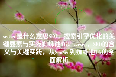 seoseo是什么意思SEO，搜索引擎优化的关键要素与实践蜘蛛池TG：zzcseo，SEO的含义与关键实践，从SeoSeo到蜘蛛池TG的全面解析