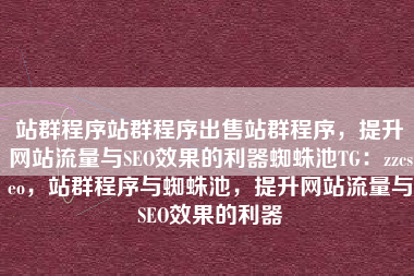 站群程序站群程序出售站群程序，提升网站流量与SEO效果的利器蜘蛛池TG：zzcseo，站群程序与蜘蛛池，提升网站流量与SEO效果的利器