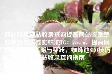 网站收录网站收录查询提高网站收录率的策略与实践蜘蛛池TG：zzcseo，提高网站收录率的策略与实践，蜘蛛池SEO技巧与网站收录查询指南