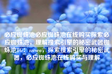 必应蜘蛛池必应蜘蛛池在线购买探索必应蜘蛛池，理解搜索引擎的秘密武器蜘蛛池TG：zzcseo，探索搜索引擎的秘密武器，必应蜘蛛池在线购买与理解