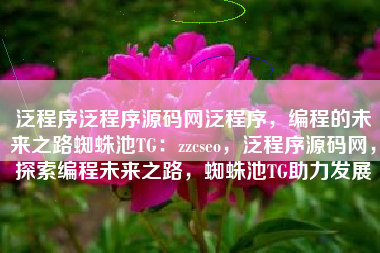 泛程序泛程序源码网泛程序，编程的未来之路蜘蛛池TG：zzcseo，泛程序源码网，探索编程未来之路，蜘蛛池TG助力发展