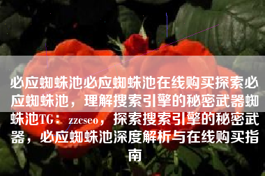 必应蜘蛛池必应蜘蛛池在线购买探索必应蜘蛛池，理解搜索引擎的秘密武器蜘蛛池TG：zzcseo，探索搜索引擎的秘密武器，必应蜘蛛池深度解析与在线购买指南