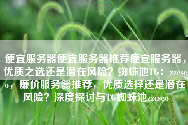 便宜服务器便宜服务器推荐便宜服务器，优质之选还是潜在风险？蜘蛛池TG：zzcseo，廉价服务器推荐，优质选择还是潜在风险？深度探讨与TG蜘蛛池zzcseo