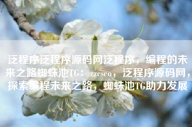 泛程序泛程序源码网泛程序，编程的未来之路蜘蛛池TG：zzcseo，泛程序源码网，探索编程未来之路，蜘蛛池TG助力发展