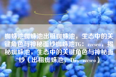 蜘蛛池蜘蛛池出租蜘蛛池，生态中的关键角色与神秘面纱蜘蛛池TG：zzcseo，揭秘蜘蛛池，生态中的关键角色与神秘面纱（出租蜘蛛池，TG，zzcseo）