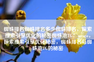 蜘蛛排名蜘蛛排名多少蜘蛛排名，探索搜索引擎优化的秘密蜘蛛池TG：zzcseo，探索搜索引擎优化秘密，蜘蛛排名与蜘蛛池TG的秘密