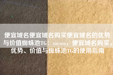 便宜域名便宜域名购买便宜域名的优势与价值蜘蛛池TG：zzcseo，便宜域名购买，优势、价值与蜘蛛池TG的使用指南