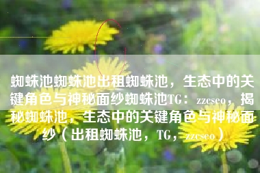 蜘蛛池蜘蛛池出租蜘蛛池，生态中的关键角色与神秘面纱蜘蛛池TG：zzcseo，揭秘蜘蛛池，生态中的关键角色与神秘面纱（出租蜘蛛池，TG，zzcseo）