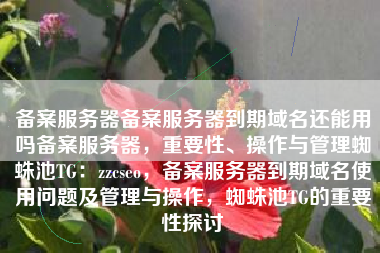 备案服务器备案服务器到期域名还能用吗备案服务器，重要性、操作与管理蜘蛛池TG：zzcseo，备案服务器到期域名使用问题及管理与操作，蜘蛛池TG的重要性探讨