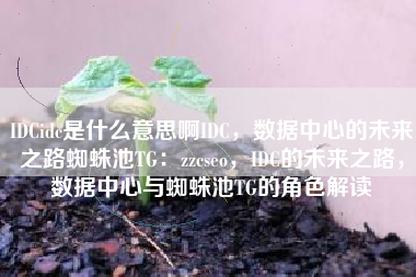IDCidc是什么意思啊IDC，数据中心的未来之路蜘蛛池TG：zzcseo，IDC的未来之路，数据中心与蜘蛛池TG的角色解读