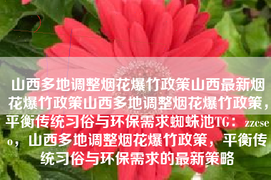山西多地调整烟花爆竹政策山西最新烟花爆竹政策山西多地调整烟花爆竹政策，平衡传统习俗与环保需求蜘蛛池TG：zzcseo，山西多地调整烟花爆竹政策，平衡传统习俗与环保需求的最新策略