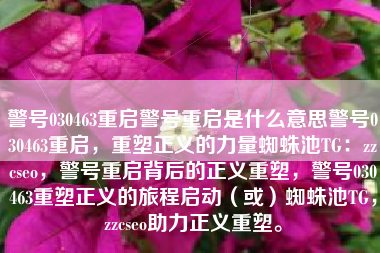 警号030463重启警号重启是什么意思警号030463重启，重塑正义的力量蜘蛛池TG：zzcseo，警号重启背后的正义重塑，警号030463重塑正义的旅程启动（或）蜘蛛池TG，zzcseo助力正义重塑。