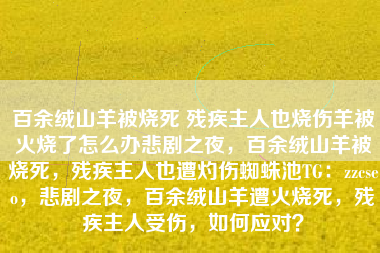 百余绒山羊被烧死 残疾主人也烧伤羊被火烧了怎么办悲剧之夜，百余绒山羊被烧死，残疾主人也遭灼伤蜘蛛池TG：zzcseo，悲剧之夜，百余绒山羊遭火烧死，残疾主人受伤，如何应对？