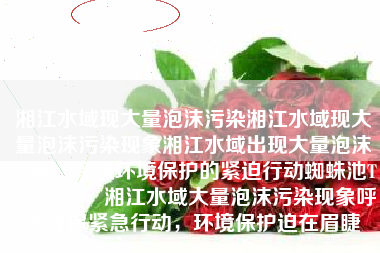 湘江水域现大量泡沫污染湘江水域现大量泡沫污染现象湘江水域出现大量泡沫污染，呼唤环境保护的紧迫行动蜘蛛池TG：zzcseo，湘江水域大量泡沫污染现象呼唤环保紧急行动，环境保护迫在眉睫