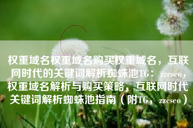 权重域名权重域名购买权重域名，互联网时代的关键词解析蜘蛛池TG：zzcseo，权重域名解析与购买策略，互联网时代关键词解析蜘蛛池指南（附TG，zzcseo）