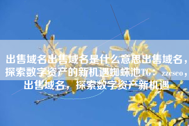 出售域名出售域名是什么意思出售域名，探索数字资产的新机遇蜘蛛池TG：zzcseo，出售域名，探索数字资产新机遇