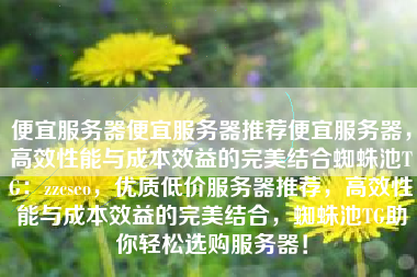 便宜服务器便宜服务器推荐便宜服务器，高效性能与成本效益的完美结合蜘蛛池TG：zzcseo，优质低价服务器推荐，高效性能与成本效益的完美结合，蜘蛛池TG助你轻松选购服务器！