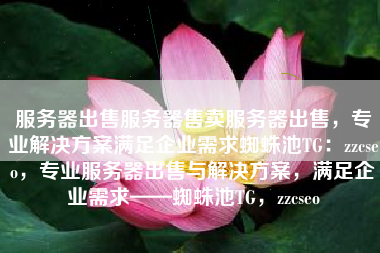 服务器出售服务器售卖服务器出售，专业解决方案满足企业需求蜘蛛池TG：zzcseo，专业服务器出售与解决方案，满足企业需求——蜘蛛池TG，zzcseo