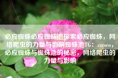 必应蜘蛛必应蜘蛛池探索必应蜘蛛，网络爬虫的力量与影响蜘蛛池TG：zzcseo，必应蜘蛛与蜘蛛池的秘密，网络爬虫的力量与影响