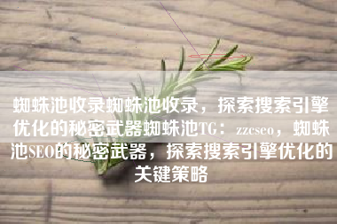 蜘蛛池收录蜘蛛池收录，探索搜索引擎优化的秘密武器蜘蛛池TG：zzcseo，蜘蛛池SEO的秘密武器，探索搜索引擎优化的关键策略