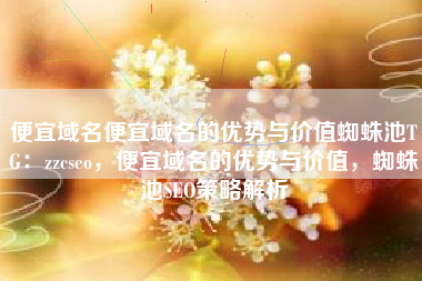 便宜域名便宜域名的优势与价值蜘蛛池TG：zzcseo，便宜域名的优势与价值，蜘蛛池SEO策略解析