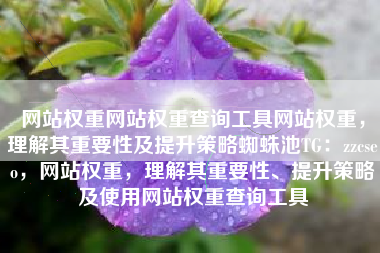 网站权重网站权重查询工具网站权重，理解其重要性及提升策略蜘蛛池TG：zzcseo，网站权重，理解其重要性、提升策略及使用网站权重查询工具