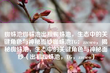 蜘蛛池蜘蛛池出租蜘蛛池，生态中的关键角色与神秘面纱蜘蛛池TG：zzcseo，揭秘蜘蛛池，生态中的关键角色与神秘面纱（出租蜘蛛池，TG，zzcseo）