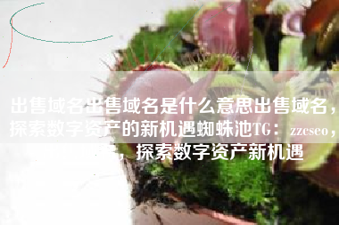 出售域名出售域名是什么意思出售域名，探索数字资产的新机遇蜘蛛池TG：zzcseo，出售域名，探索数字资产新机遇