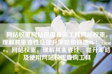 网站权重网站权重查询工具网站权重，理解其重要性及提升策略蜘蛛池TG：zzcseo，网站权重，理解其重要性、提升策略及使用网站权重查询工具