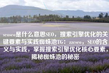 seoseo是什么意思SEO，搜索引擎优化的关键要素与实践蜘蛛池TG：zzcseo，SEO的含义与实践，掌握搜索引擎优化核心要素，揭秘蜘蛛池的秘密