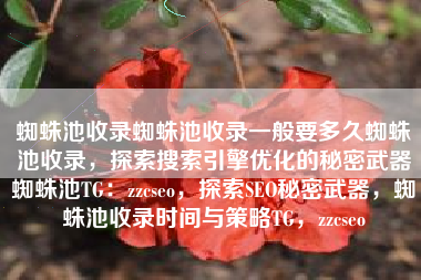 蜘蛛池收录蜘蛛池收录一般要多久蜘蛛池收录，探索搜索引擎优化的秘密武器蜘蛛池TG：zzcseo，探索SEO秘密武器，蜘蛛池收录时间与策略TG，zzcseo