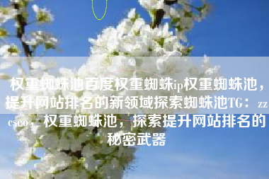 权重蜘蛛池百度权重蜘蛛ip权重蜘蛛池，提升网站排名的新领域探索蜘蛛池TG：zzcseo，权重蜘蛛池，探索提升网站排名的秘密武器