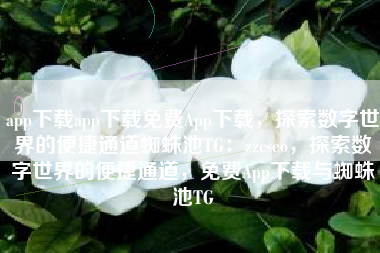 app下载app下载免费App下载，探索数字世界的便捷通道蜘蛛池TG：zzcseo，探索数字世界的便捷通道，免费App下载与蜘蛛池TG