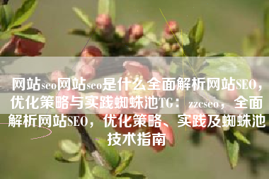 网站seo网站seo是什么全面解析网站SEO，优化策略与实践蜘蛛池TG：zzcseo，全面解析网站SEO，优化策略、实践及蜘蛛池技术指南