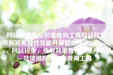 网站权重网站权重查询工具网站权重，理解其重要性及提升策略蜘蛛池TG：zzcseo，网站权重，理解其重要性、提升策略及使用网站权重查询工具