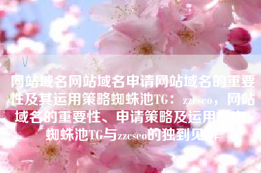 网站域名网站域名申请网站域名的重要性及其运用策略蜘蛛池TG：zzcseo，网站域名的重要性、申请策略及运用指南，蜘蛛池TG与zzcseo的独到见解