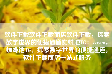 软件下载软件下载商店软件下载，探索数字世界的便捷通道蜘蛛池TG：zzcseo，蜘蛛池TG，探索数字世界的便捷通道，软件下载商店一站式服务