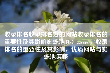 收录排名收录排名好的网站收录排名的重要性及其影响蜘蛛池TG：zzcseo，收录排名的重要性及其影响，优质网站与蜘蛛池策略