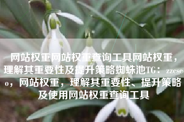 网站权重网站权重查询工具网站权重，理解其重要性及提升策略蜘蛛池TG：zzcseo，网站权重，理解其重要性、提升策略及使用网站权重查询工具